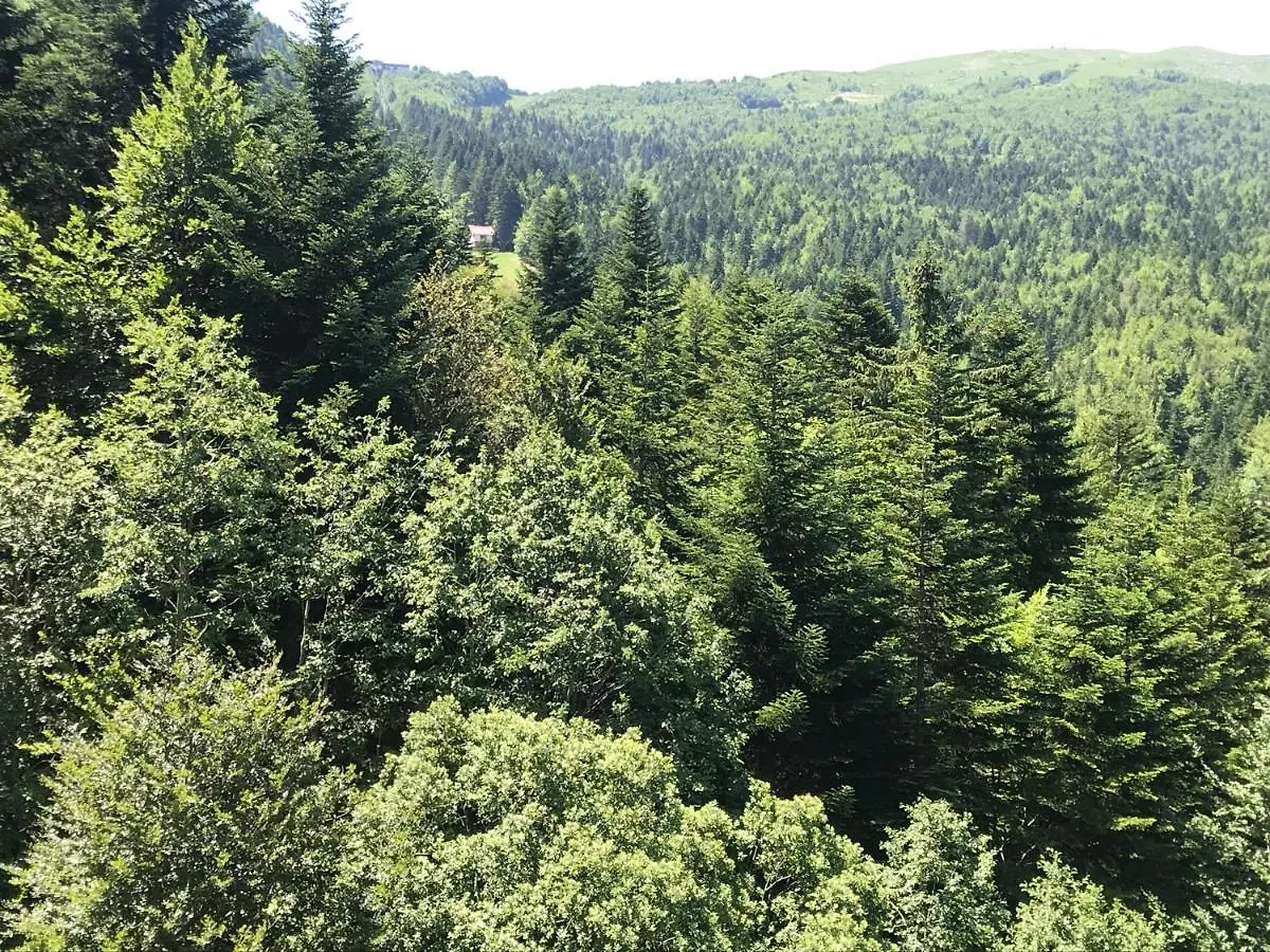 Mansarda Panoramica In Abetone Apartment